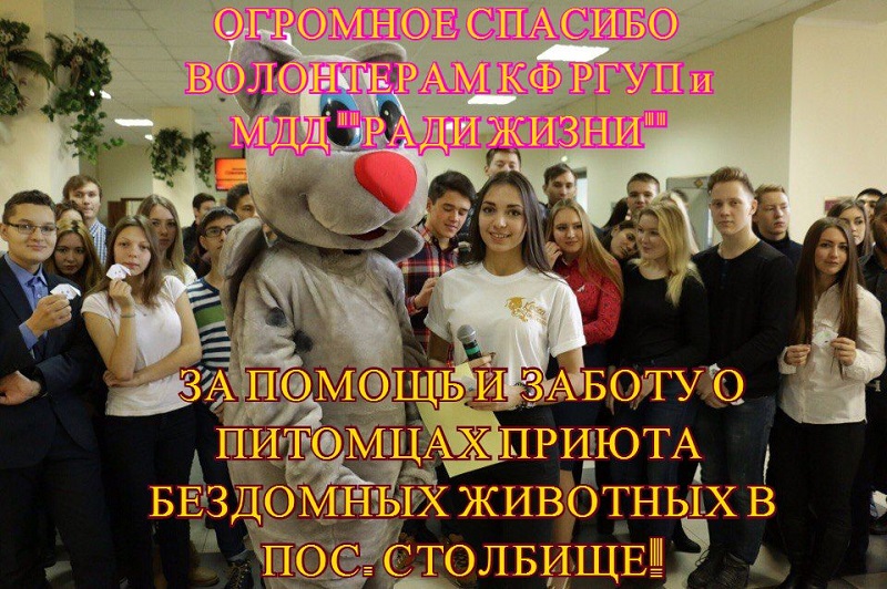 Волонтеры КФ РГУП