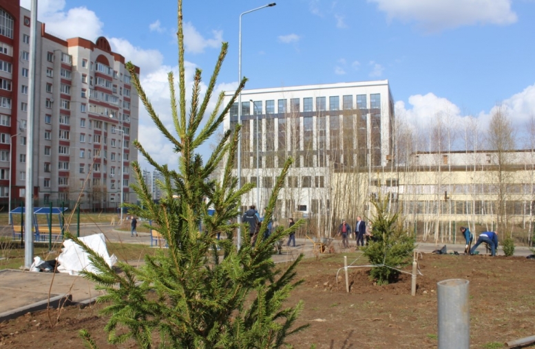 Возле нового учебного корпуса и общежития КФ РГУП появилась зелёная аллея
